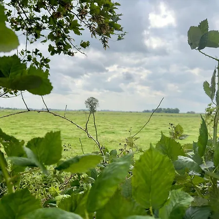 Nordseeflair Og - Wiarden