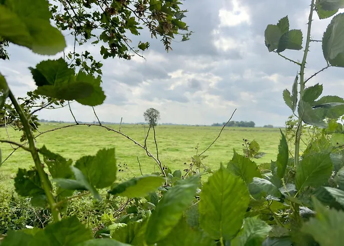 Nordseeflair Og - Wiarden